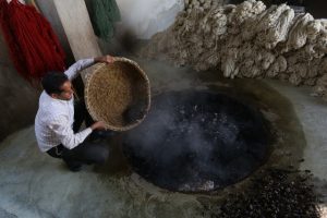 ریختن پوست گردو در پاتیل رنگرزی برای رنگرزی گیاهی 